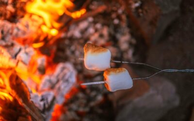 ComputerCamp kommer på kundernes radar med Boost Your Business